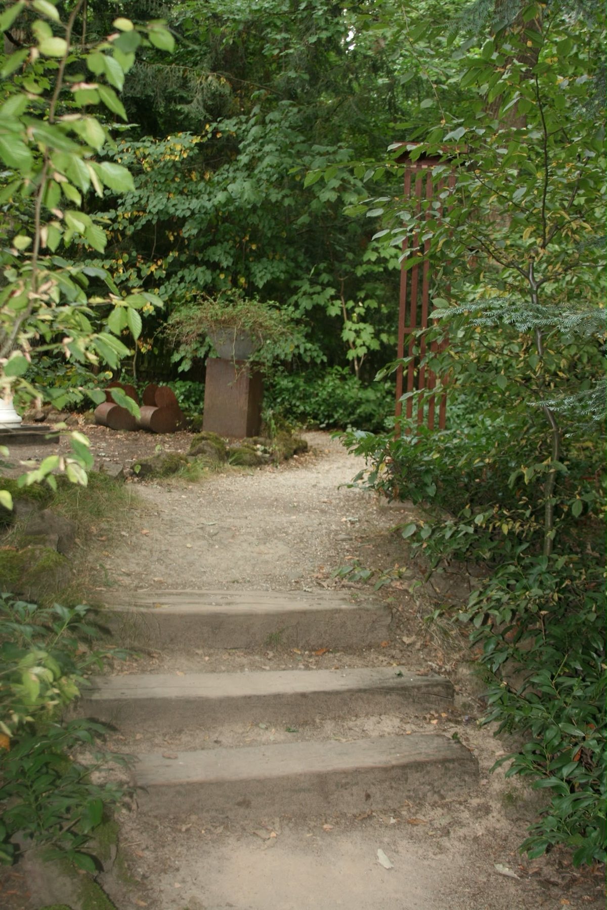 Ruhiger Naturweg zwischen dichtem Grün